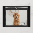 Recherche de chiens de coeur cartes postales Dogs
