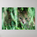 Zoek naar katten gedichten posters Schattig