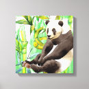 Zoek naar panda kunst China