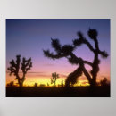 Recherche de scots posters Paysage