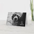 Recherche de rassemblement des chiens vœux cartes Animaux