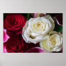 Recherche de jardinier art Paysagiste