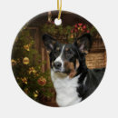 Zoek naar cardigan welsh corgi ornamenten Gezelschapsdieren