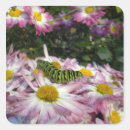 Recherche de insectes mignons autocollants Chenille