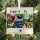 Recherche de papillon ornements Noël