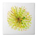 Recherche de pissenlit carreaux Aquarelle