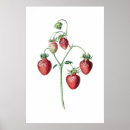 Recherche de fraise art Pour eux