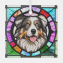 Zoek naar australian shepherd ornamenten Huisdier