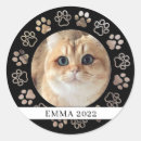 Recherche de chat dans une boîte autocollants Pour animaux