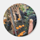 Recherche de de citrouille magnets Décoration