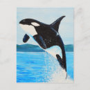 Zoek naar blauwe dolfijn briefkaarten Oceaan