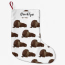 Recherche de mammifère chaussette de noël Océan