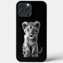Recherche de câlin coques Faune