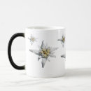 Recherche de edelweiss tasses Allemand