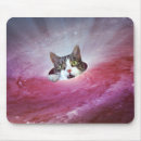 Recherche de galaxie chat tapis souris Chat de l'espace