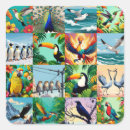 Zoek naar ijsvogels stickers Dier