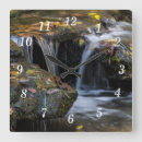 Recherche de cascades horloges Nature