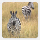 Recherche de africains autocollants Animaux sauvages