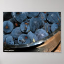 Recherche de nourriture biologique posters Fruit