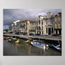 Zoek naar zeewier posters Kust
