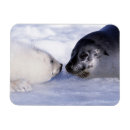 Recherche de petit bébé magnets Mère et bébé