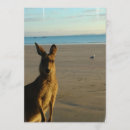 Recherche de kangourou invitations Marsupial