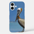 Recherche de pélican iphone coques Plage