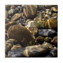 Zoek naar sun tegels Zonnestralen