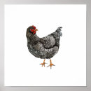 Recherche de dessin noir et blanc posters Oiseau