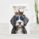 Recherche de portugais anniversaire cartes Chien marin portugais