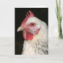Recherche de volailles vœux cartes Blanc