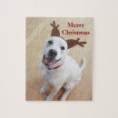 Recherche de chiens de sourire puzzles Pour tous