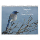 Recherche de chanteur bureau fournitures Oiseaux