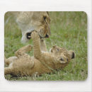 Recherche de lion mignon tapis souris Afrique