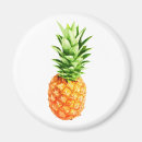 Zoek naar ananas magneten Tropische vruchten