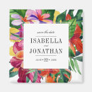 Recherche de plumeria Hibiscus