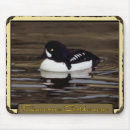 Recherche de paysage nature tapis souris Lac