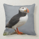 Recherche de macareux coussins Oiseau