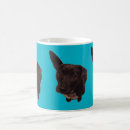 Recherche de perro tasses Chien