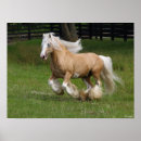 Recherche de gypsy posters Cheval