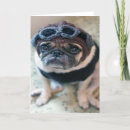 Recherche de costume vœux cartes Tenue