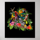 Recherche de budgies posters Animal