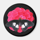 Recherche de peinture papillon magnets Rose