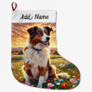 Recherche de border collie chaussette de noël Chiens