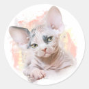 Recherche de sphinx autocollants Animal