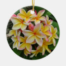 Recherche de plumeria ornements Floral