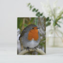 Recherche de gorges cartes postales Faune