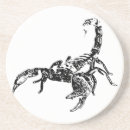 Recherche de arachnide dessous de verres Animaux