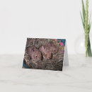 Recherche de lapereau Mignon