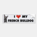 Recherche de bouledogue francais voiture autocollants Chiot